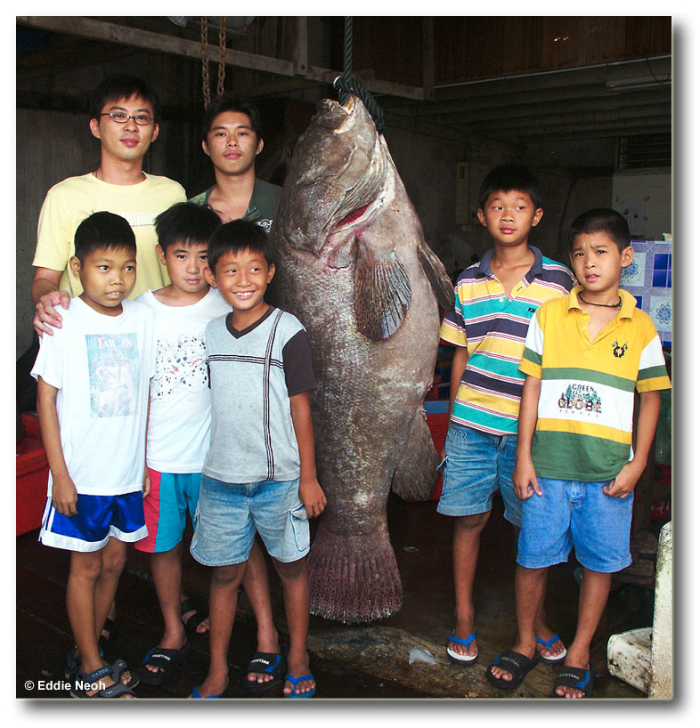 98Kg%20Big%20Fish.jpg